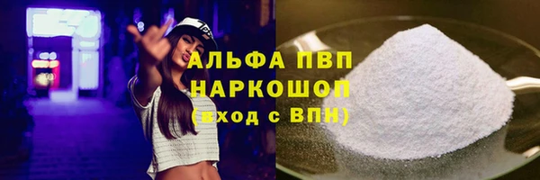 метадон Богданович