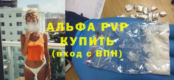 метадон Богданович