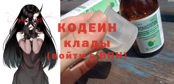 метадон Богданович